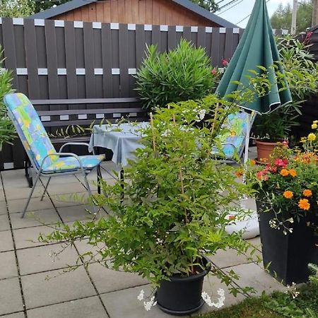 Ferienwohnung Schaarschmidt Altenberg  Exterior foto